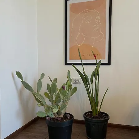 Spacious And Bright Flat Подгориця